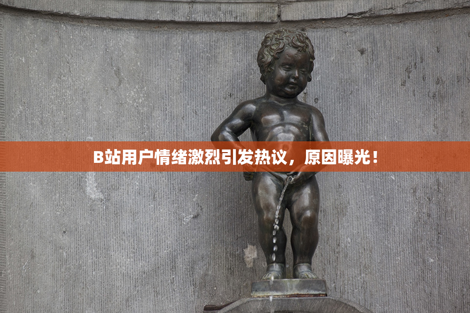 B站用户情绪激烈引发热议，原因曝光！