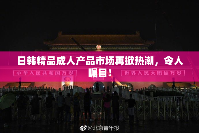 日韩精品成人产品市场再掀热潮，令人瞩目！
