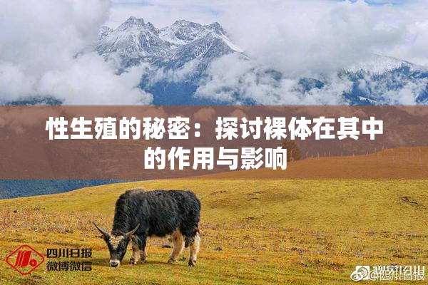 性生殖的秘密：探讨裸体在其中的作用与影响
