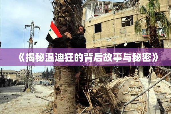 《揭秘温迪狂的背后故事与秘密》