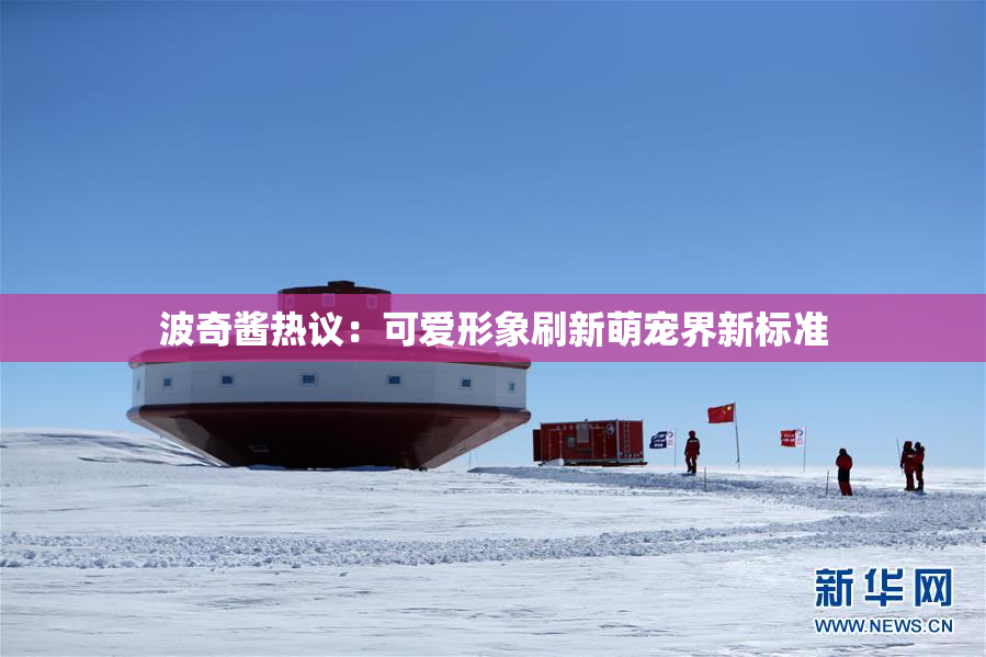 波奇酱热议：可爱形象刷新萌宠界新标准