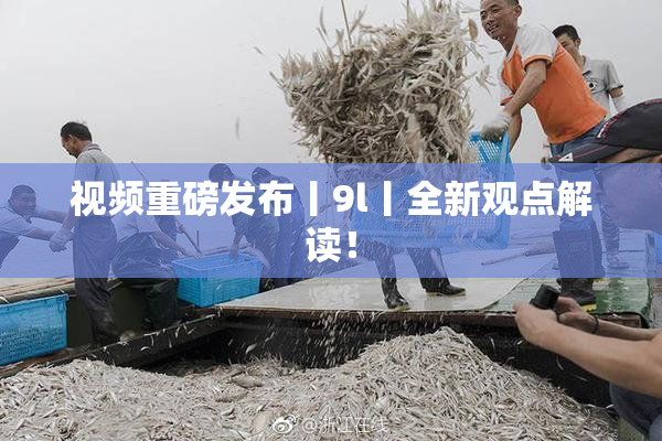 视频重磅发布丨9l丨全新观点解读！