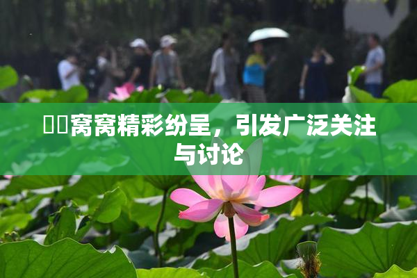 妺妺窝窝精彩纷呈，引发广泛关注与讨论