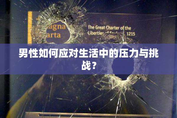 男性如何应对生活中的压力与挑战？