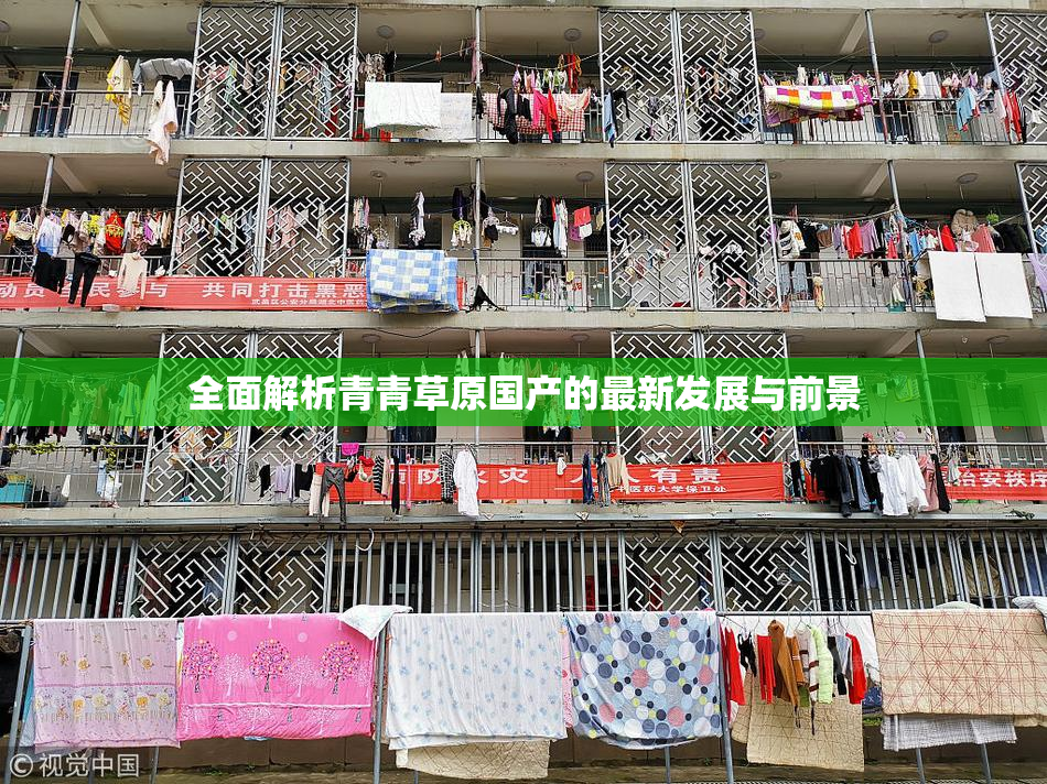 全面解析青青草原国产的最新发展与前景