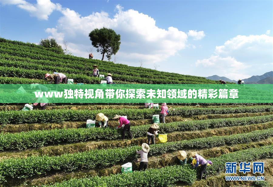 www独特视角带你探索未知领域的精彩篇章