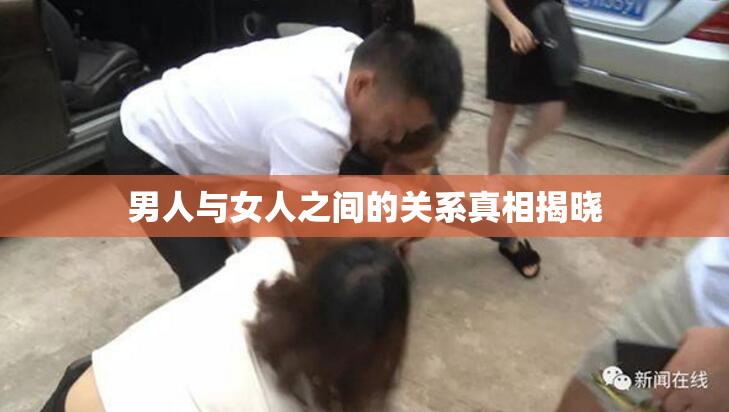 男人与女人之间的关系真相揭晓