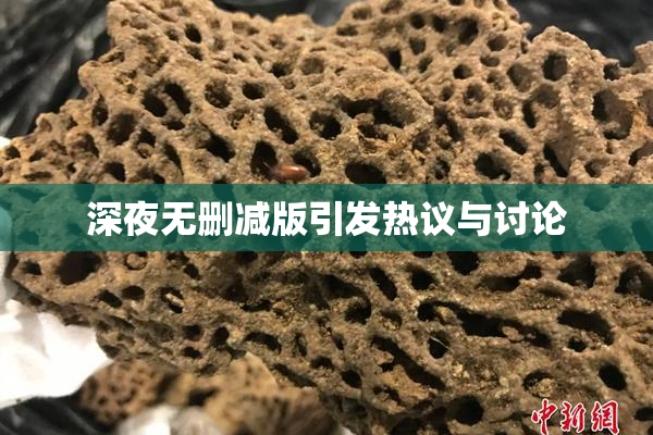 深夜无删减版引发热议与讨论