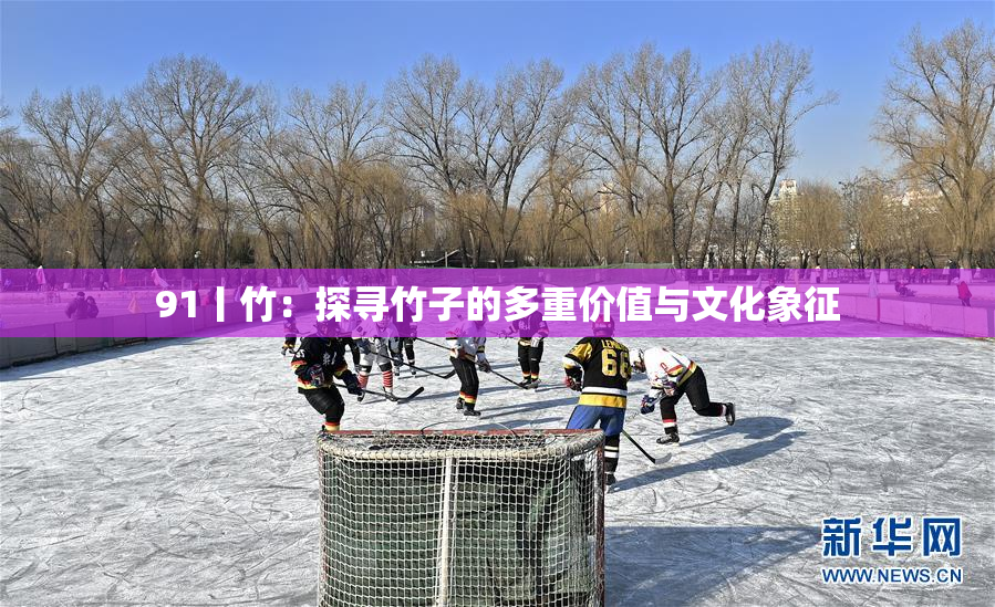 91丨竹：探寻竹子的多重价值与文化象征