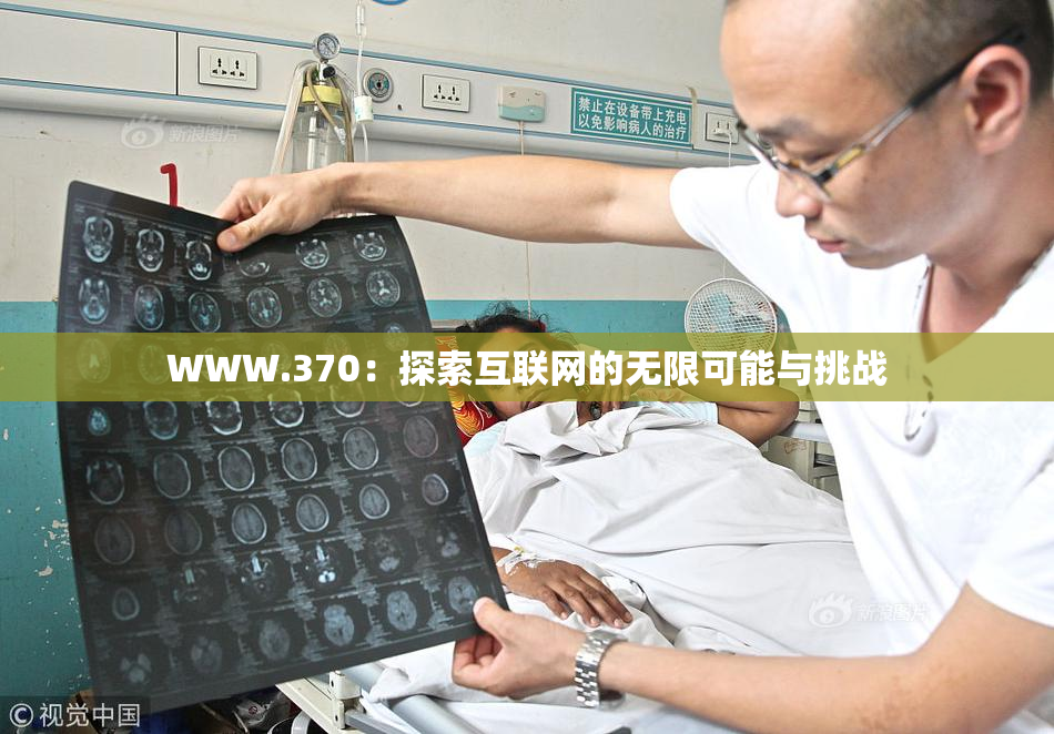 WWW.370：探索互联网的无限可能与挑战