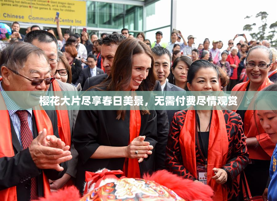 樱花大片尽享春日美景，无需付费尽情观赏