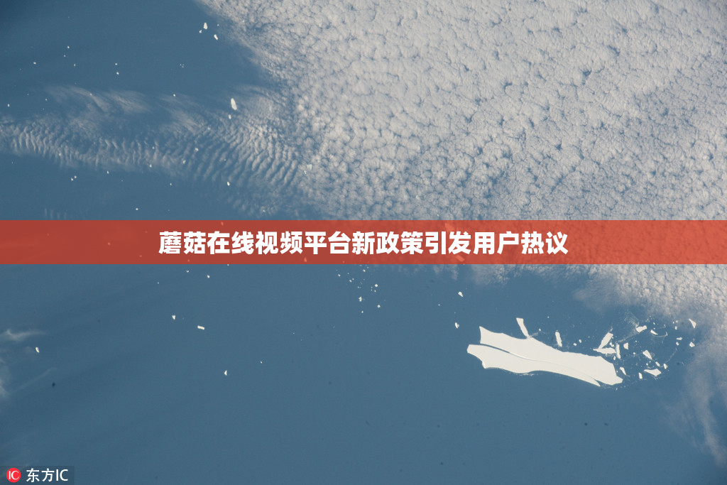 蘑菇在线视频平台新政策引发用户热议