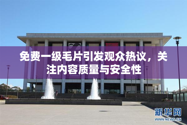 免费一级毛片引发观众热议，关注内容质量与安全性