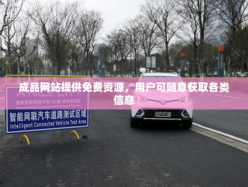 成品网站提供免费资源，用户可随意获取各类信息