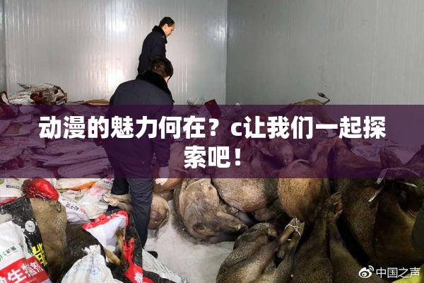 动漫的魅力何在？c让我们一起探索吧！
