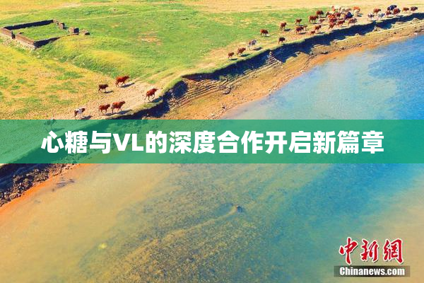 心糖与VL的深度合作开启新篇章