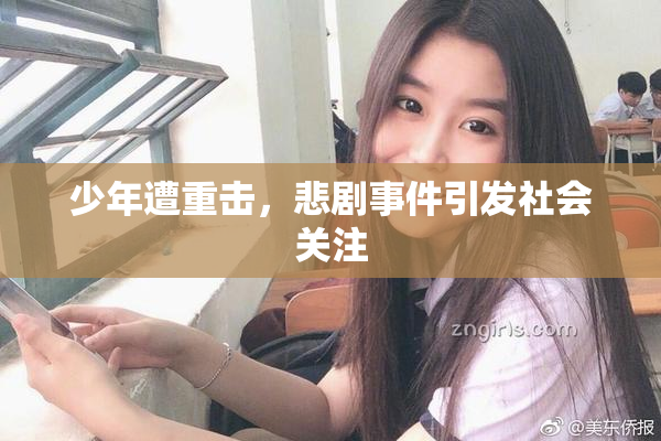 少年遭重击，悲剧事件引发社会关注