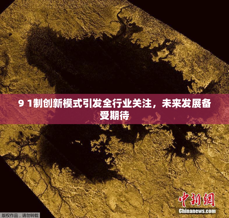 9 1制创新模式引发全行业关注，未来发展备受期待