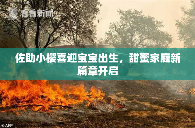 佐助小樱喜迎宝宝出生，甜蜜家庭新篇章开启