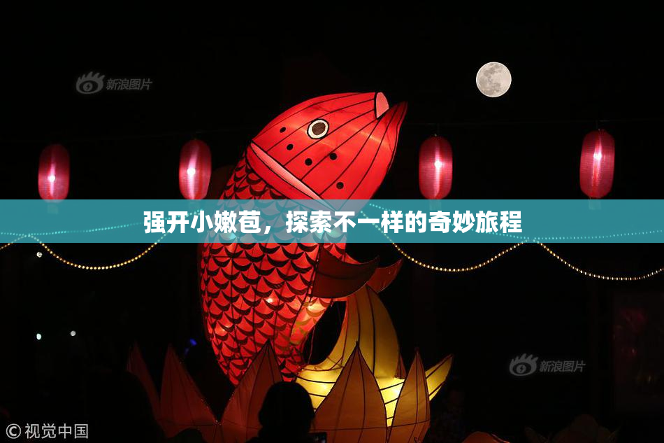 强开小嫩苞，探索不一样的奇妙旅程