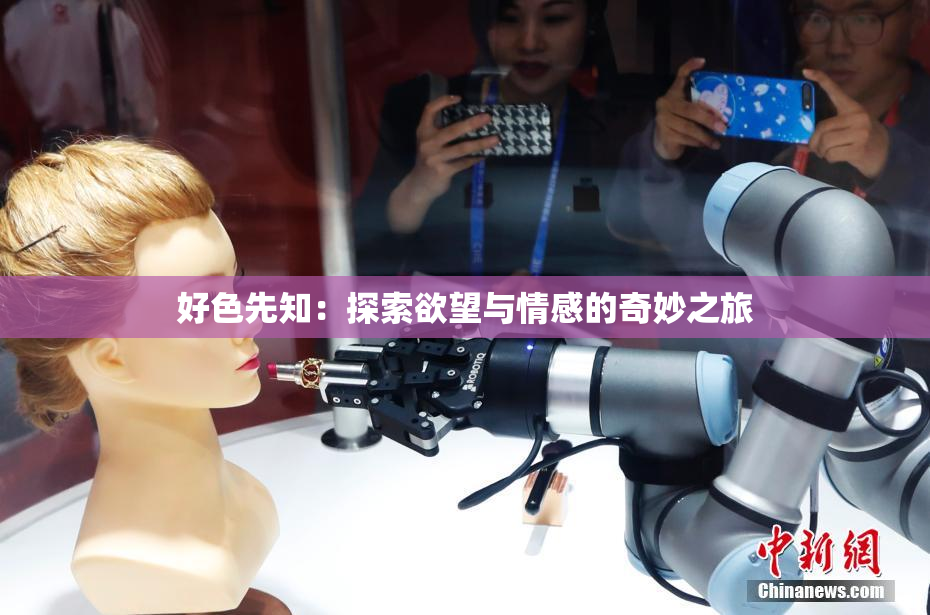 好色先知：探索欲望与情感的奇妙之旅