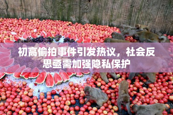初高偷拍事件引发热议，社会反思亟需加强隐私保护