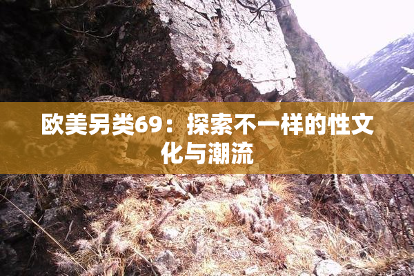 欧美另类69：探索不一样的性文化与潮流