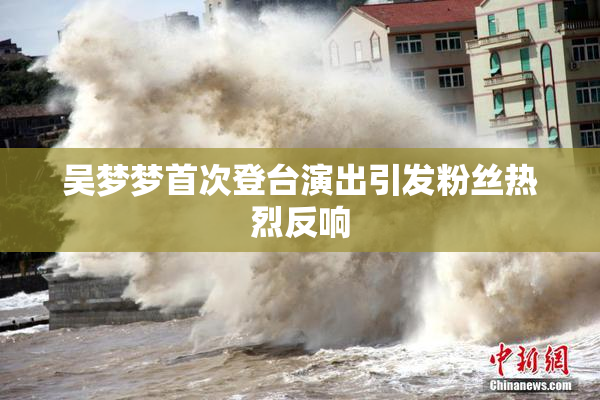 吴梦梦首次登台演出引发粉丝热烈反响