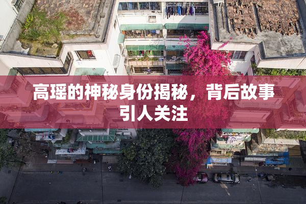 高瑶的神秘身份揭秘，背后故事引人关注