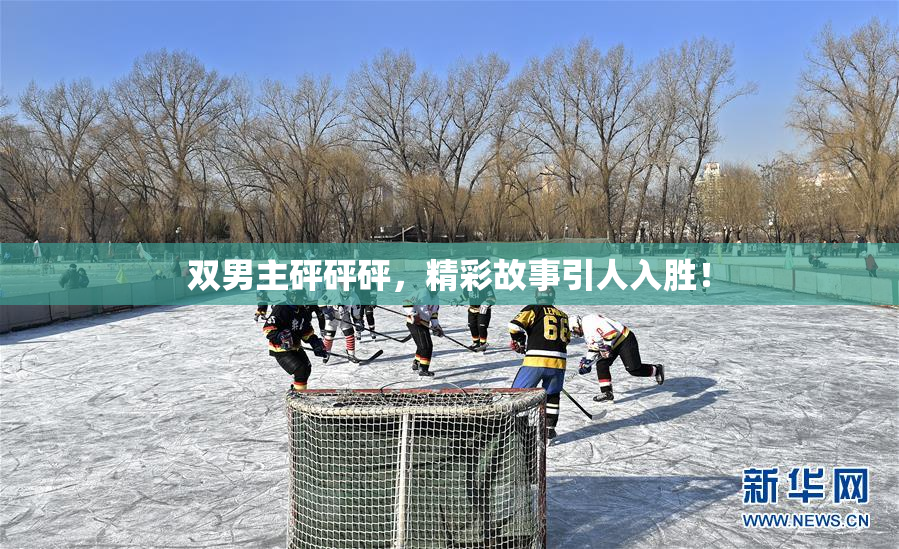 双男主砰砰砰，精彩故事引人入胜！