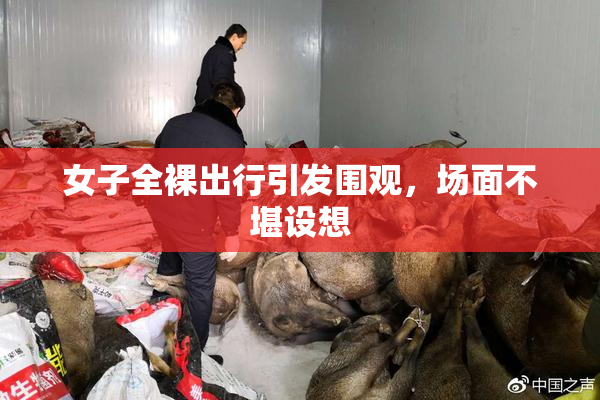 女子全裸出行引发围观，场面不堪设想