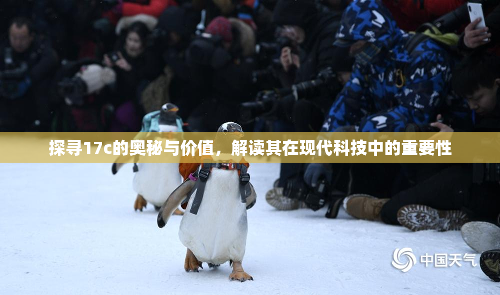 探寻17c的奥秘与价值，解读其在现代科技中的重要性