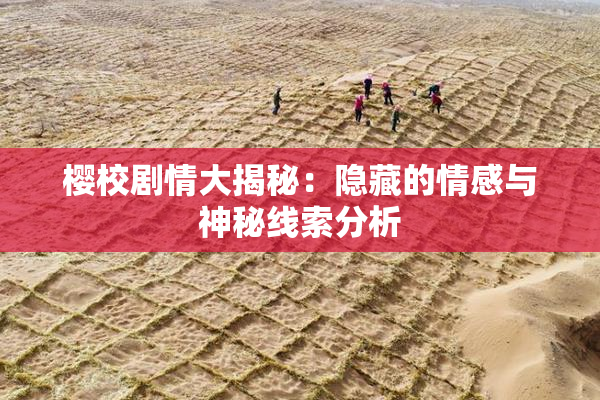 樱校剧情大揭秘：隐藏的情感与神秘线索分析