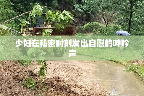 少妇在私密时刻发出自慰的呻吟声
