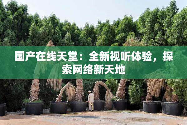 国产在线天堂：全新视听体验，探索网络新天地