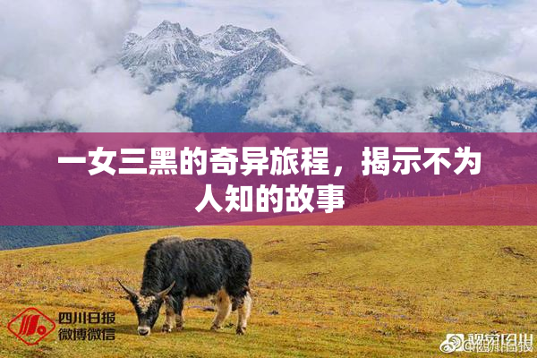 一女三黑的奇异旅程，揭示不为人知的故事