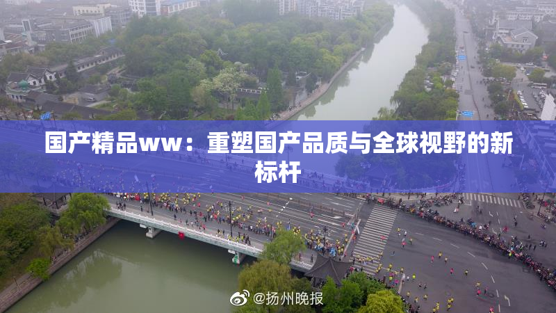 国产精品ww：重塑国产品质与全球视野的新标杆