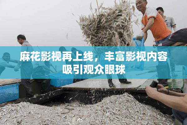麻花影视再上线，丰富影视内容吸引观众眼球