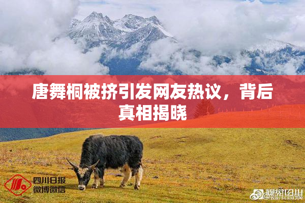 唐舞桐被挤引发网友热议，背后真相揭晓
