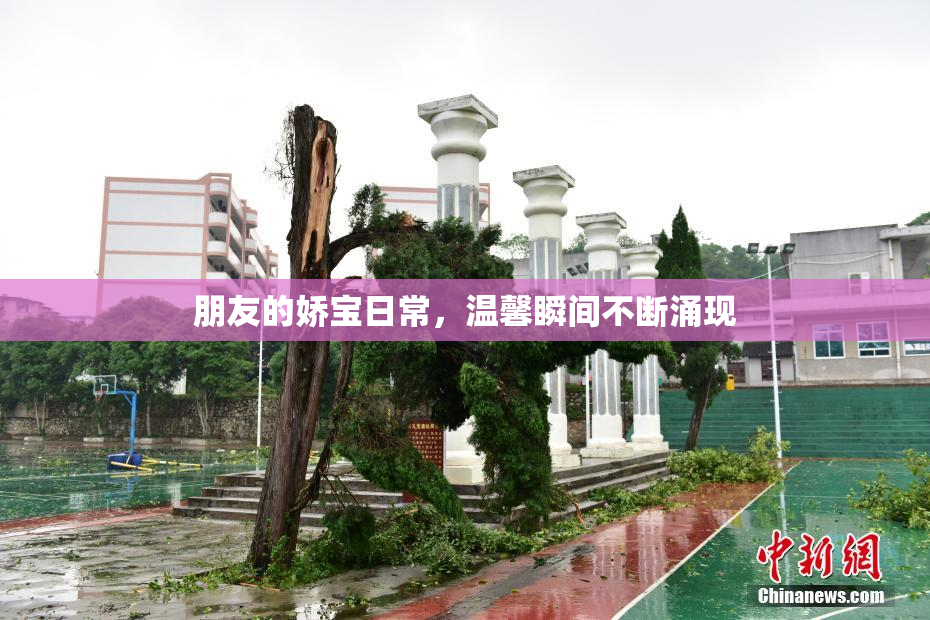 朋友的娇宝日常，温馨瞬间不断涌现