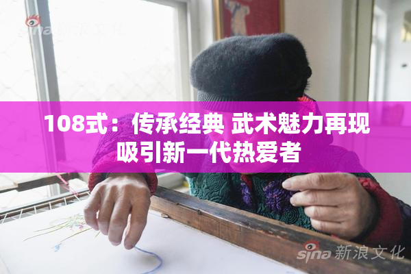 108式：传承经典 武术魅力再现 吸引新一代热爱者