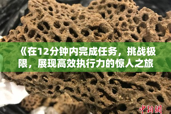 《在12分钟内完成任务，挑战极限，展现高效执行力的惊人之旅》