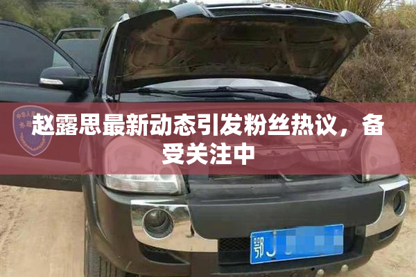 赵露思最新动态引发粉丝热议，备受关注中