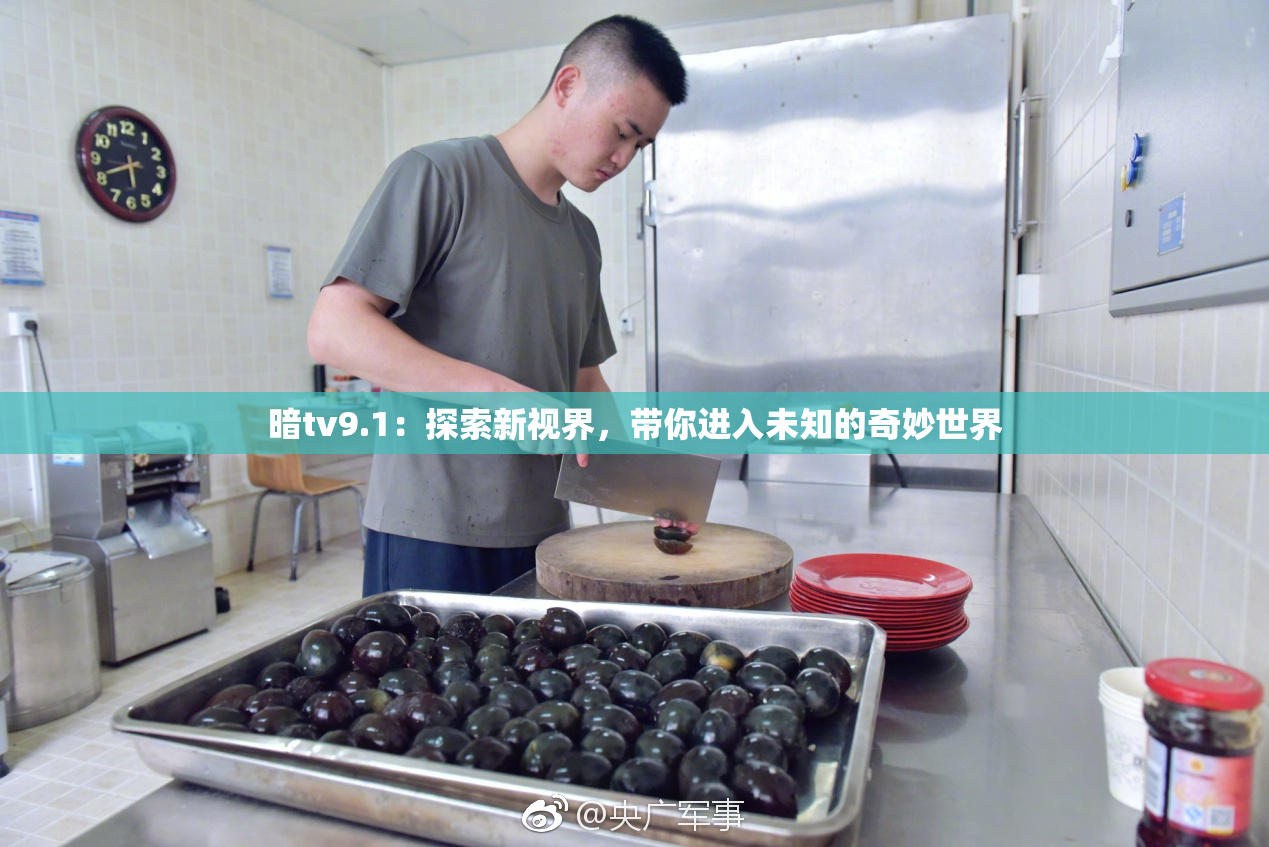 暗tv9.1：探索新视界，带你进入未知的奇妙世界