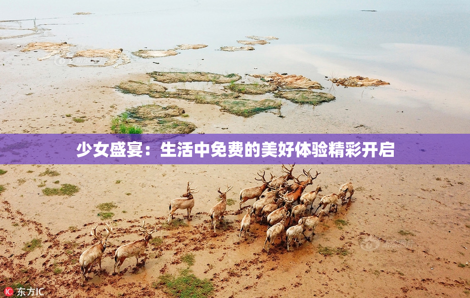 少女盛宴：生活中免费的美好体验精彩开启