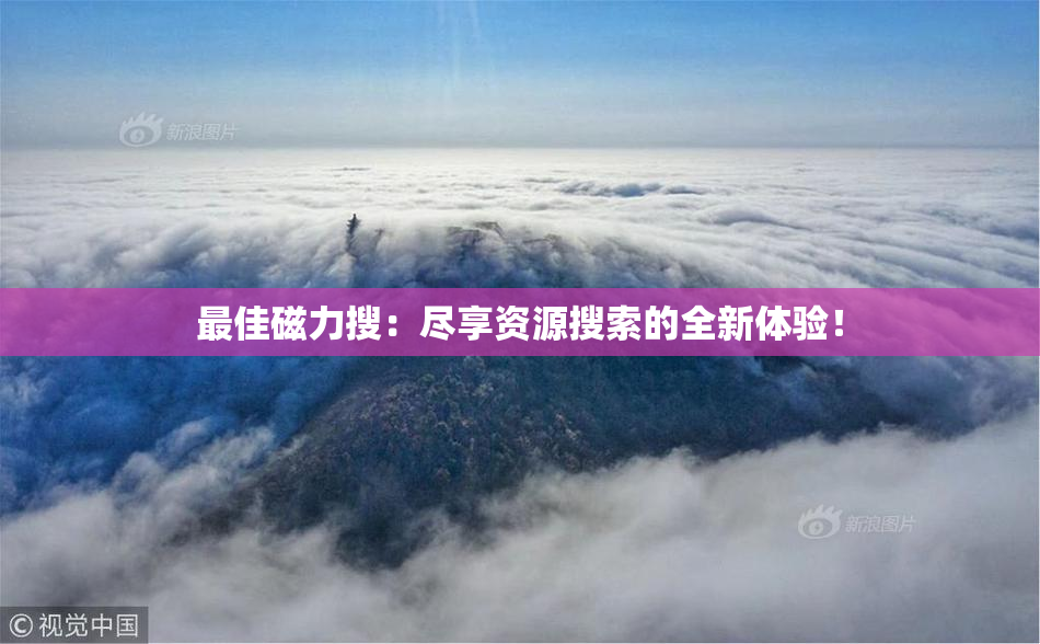 最佳磁力搜：尽享资源搜索的全新体验！