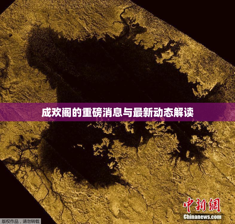 成欢阁的重磅消息与最新动态解读