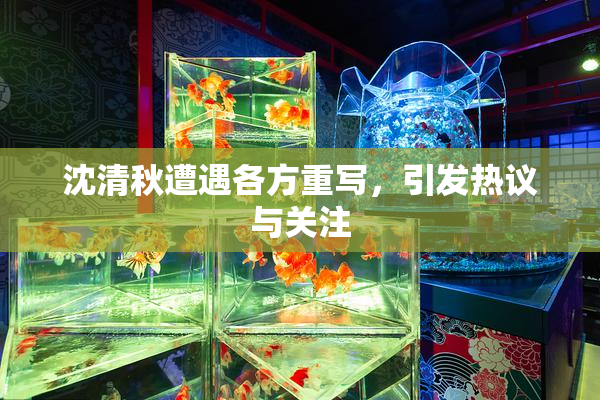 沈清秋遭遇各方重写，引发热议与关注