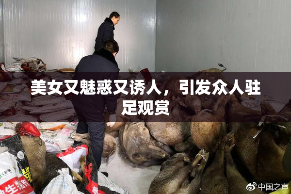 美女又魅惑又诱人，引发众人驻足观赏