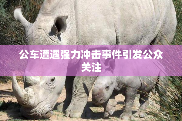 公车遭遇强力冲击事件引发公众关注